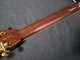 Eastman E40D-Themocure Sunburst (W588)
