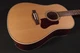 Seagull Coastline Momentum Hg Acoustic-Electric Guitar Natural (W0308)