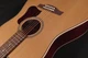 Seagull Coastline Momentum Hg Acoustic-Electric Guitar Natural (W0308)