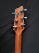 Godin 25503 XTSA Leaf Top Trans Black (W150)