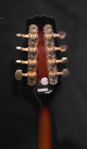 (EPICX1) Epiphone MM 30e/as Mandolin Sunburst (W229) 