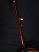 (GIBX3) Gibson Mastertone Banjo (WRB250Gold)