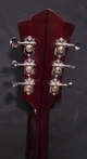 (G32) Guild D-40 Traditional (W116)