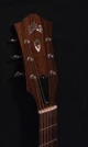 (G13) Guild F-40e Traditional USA Natural (W004)