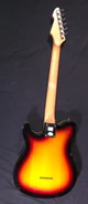 (PVY4) Peavey Generation EXP (W240)
