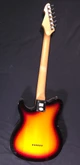 (PVY4) Peavey Generation EXP (W240)