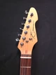 (PVY4) Peavey Generation EXP (W240)