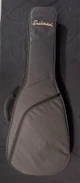 NEW ARRIVAL!!! (EA45) Eastman FT Offset 62 Gold (W395) 