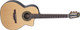 Takamine TC135SC Pro Series Axc Body Classical - Natural