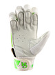 CA Plus 15000  Batting Gloves