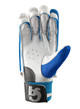 CA Plus 8000  Batting Gloves