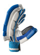 CA Plus 8000  Batting Gloves