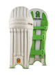 CA Plus 15000  Batting Pads