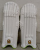 CA Plus 15000 Wicket Keeping Pads