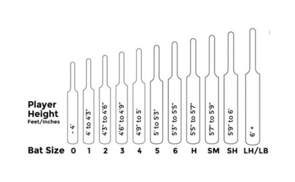 Bat Size