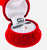 Swarovski Crystal Snowflake Necklace in Red Velvet Hanging Gift Box