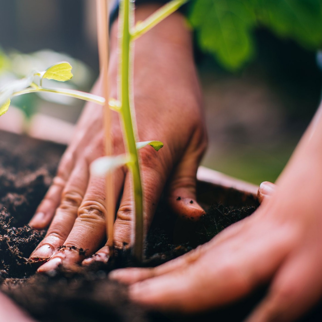 5 Garden Activities To Do That Are Good For Your Health