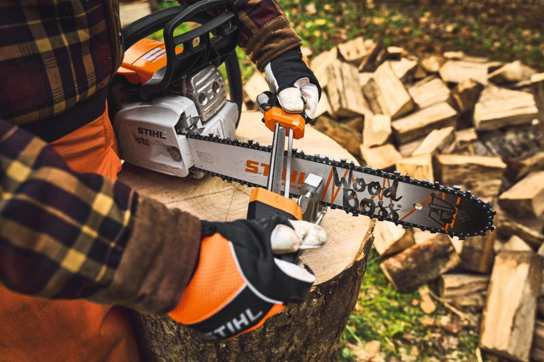 Stihl MS251 WOOD BOSS Gas Powered Chainsaw - Forester Shop