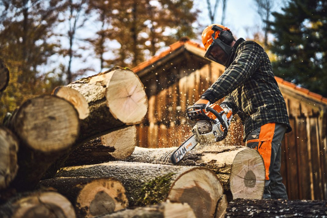 Stihl MS251C-BE Gas Powered Chainsaw w/ Easy2Start - Forester Shop
