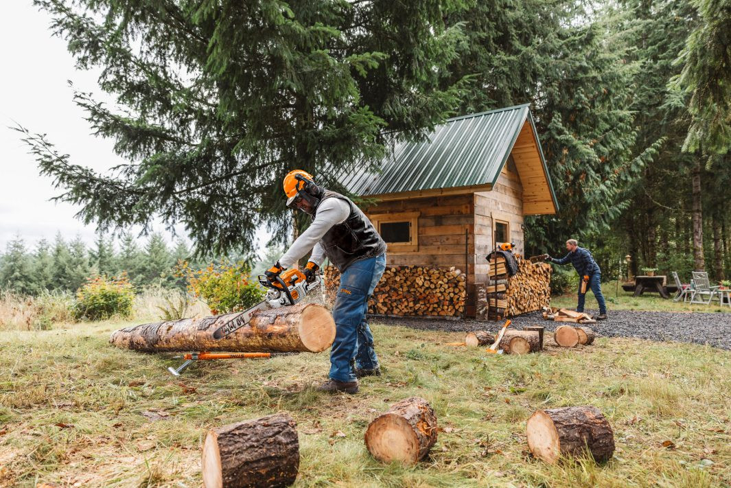 Stihl MS291 Gas Powered Chainsaw - Forester Shop