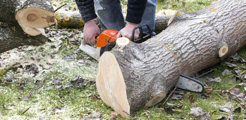 Chain Saw Bar & Chain Page 1 Forester Shop