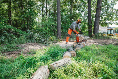 Stihl MS362R C-M Professional Gas Powered Chainsaw - Forester Shop Stihl MS362R C-M Professional Gas Powered Chainsaw - Forester Shop