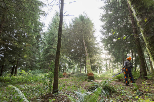 Stihl MS500i-R Wrap Hanlde Fuel Injected Professional Chainsaw