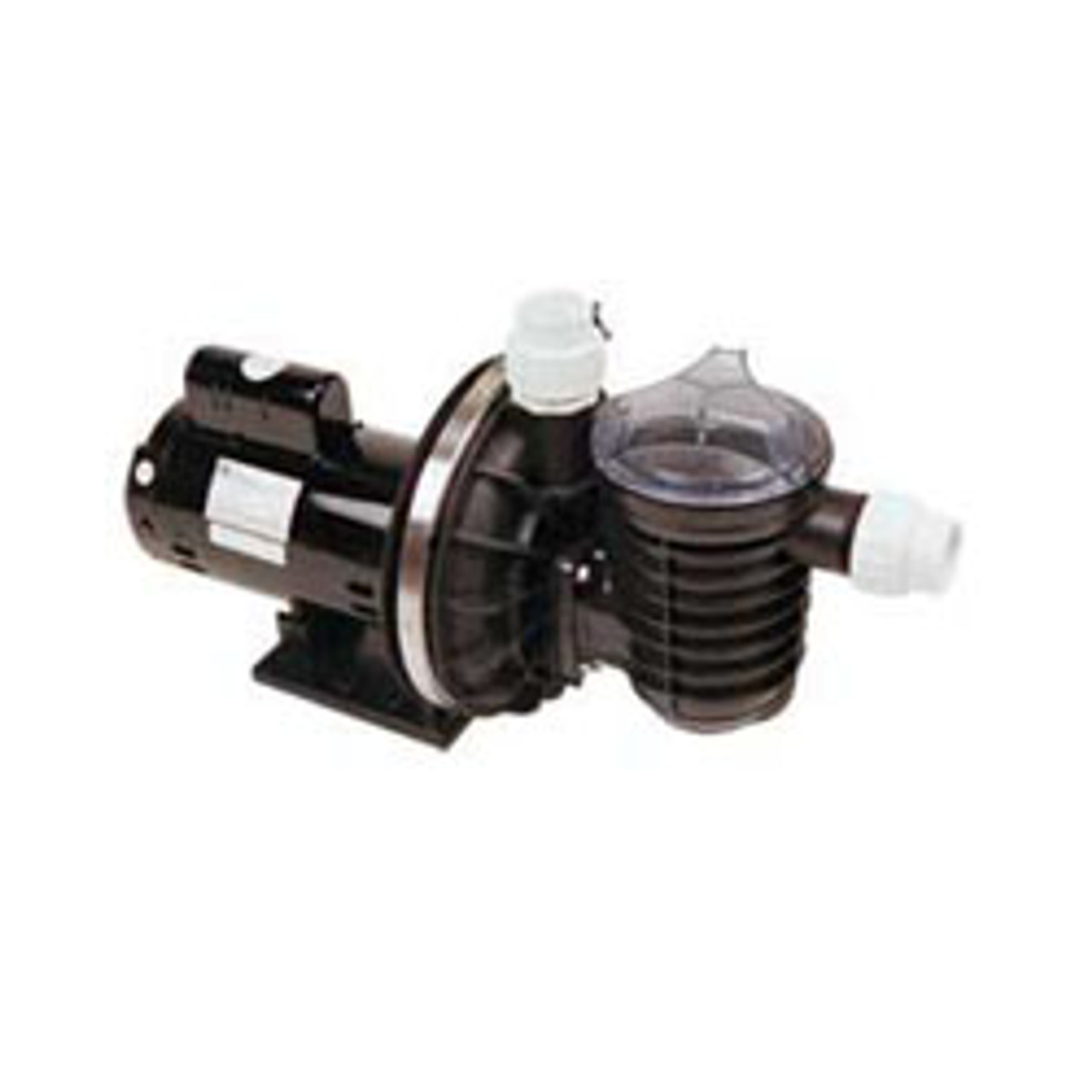 2HP 2 Speed Sta-Rite Replacement Pool Pump | Electric Motors