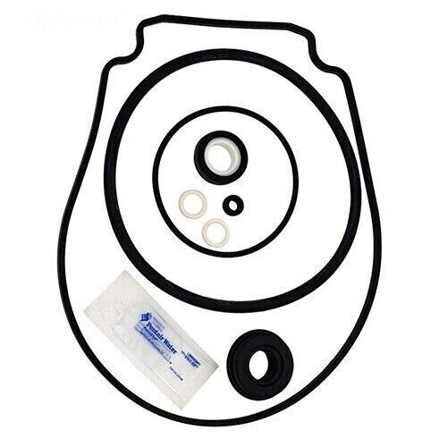 Replacement Seal Kit For Pentair © Whisperflo Intelliflo Pumps