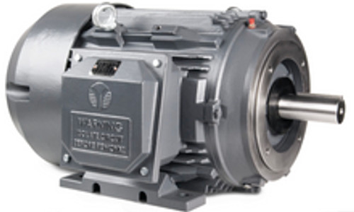 60HP 3600RPM 364TSC Frame TEFC Three Phase Motor