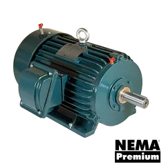 20HP 1800RPM 256T - 460V IEEE841 Motor