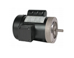 jet pump motors