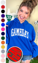 Game Day Flock Graphic Hoodie