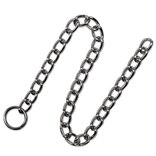 16-1/2" SS Chain & SS Ring -