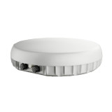 Peplink Antenna Max DUO