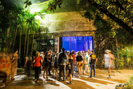 Case Study: Tanks Arts Centre – Mobile Signals
