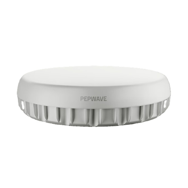 Peplink Antenna Max DUO