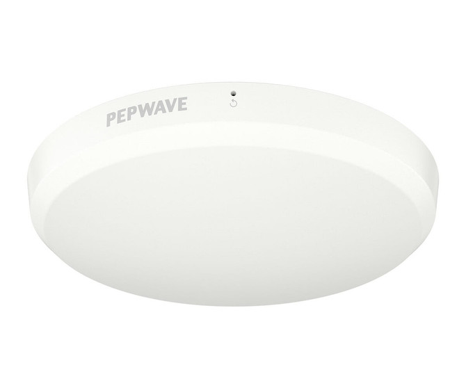 Peplink AP One Enterprise