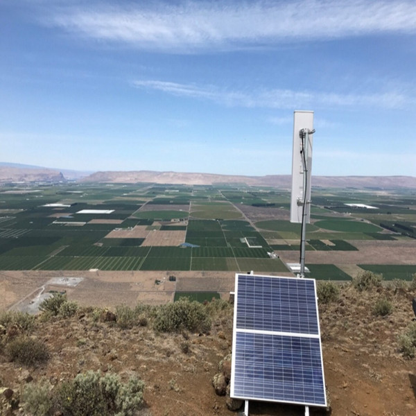 Dual Polarity WiFi MIMO 90° Sector Antenna, 4800 to 6500 MHz, 19 dBi, SMA Female