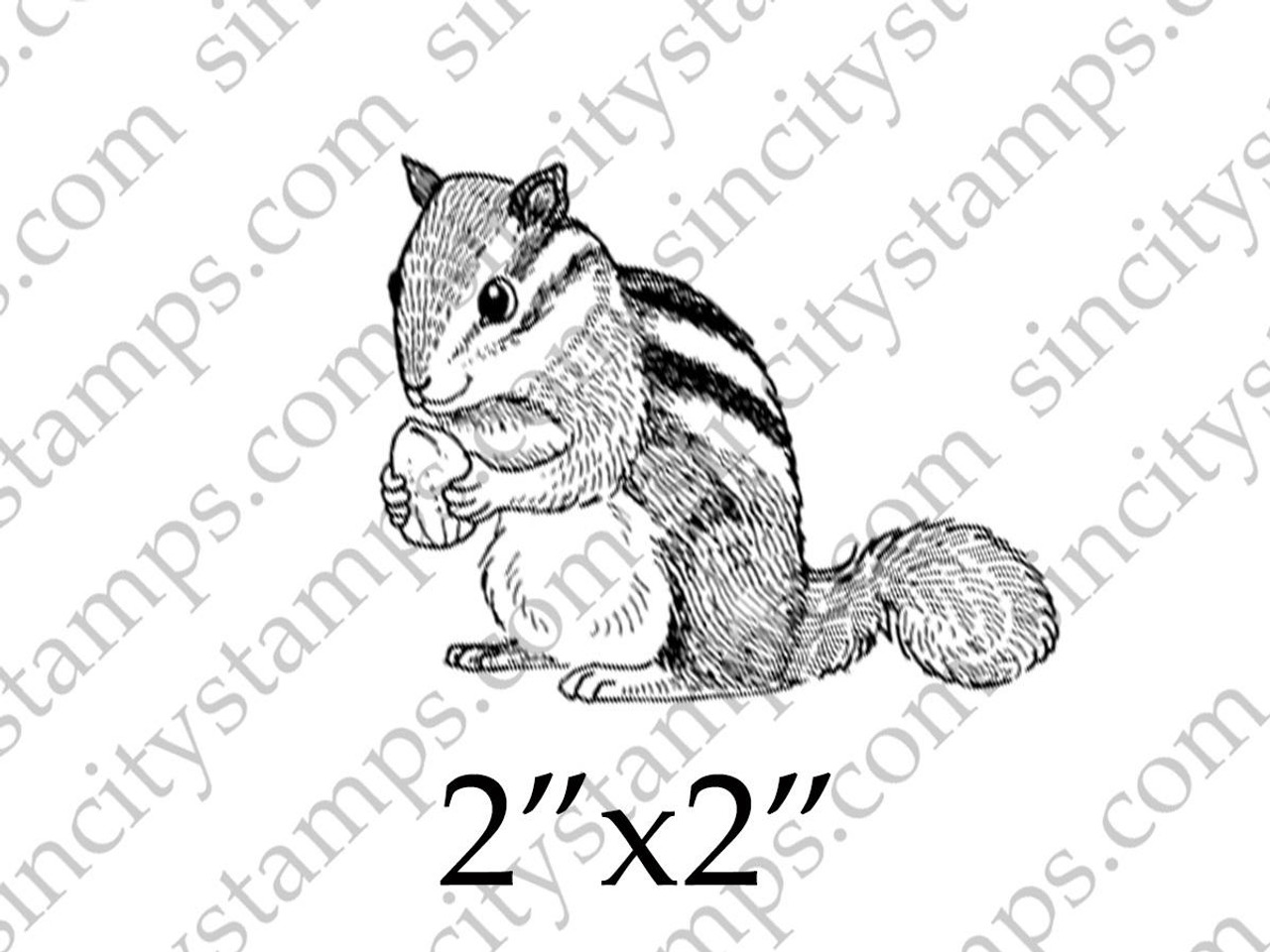 Chipmunk Wildlife Animal Rubber Stamp SC74-4 - Blank Page Muse Art Rubber  Stamps