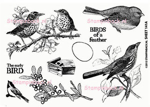 Spring Birds, small bird, bird on branch art rubber stamp Sheet 141A 