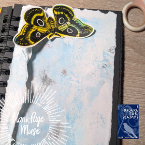 moth coloring suggestion