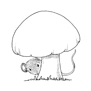 Mouse and Mushroom 1
