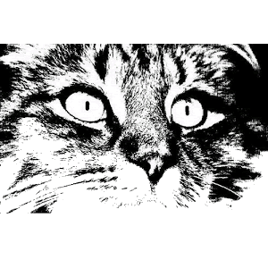 Amun's Eyes Cat's Eyes Nose Partial Face stamp 1