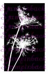 Fennel Silhouette Negative - Queen Anne's Lace 1