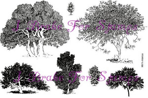 Trees Plate #2