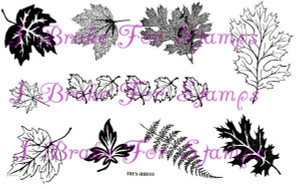 Leaf Plate Rubber Stamps of Oak Leaves, Fern Frond, Sycamore Leaf, Texture and Border stamps