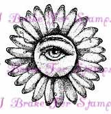 Small Daisy with Eye