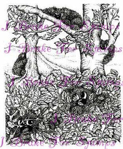 Climbing Trees Shy Bears