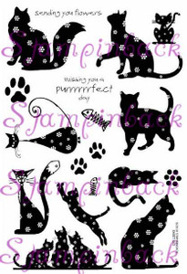 Purrrrfect Day Cats 1